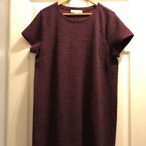 Burgundy/Maroon women’s dress